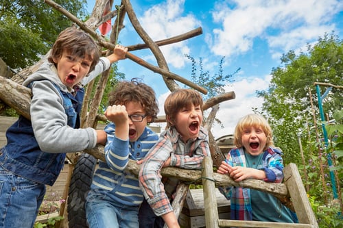 Preview: Four boy shouting on homemade climbing frame in garden