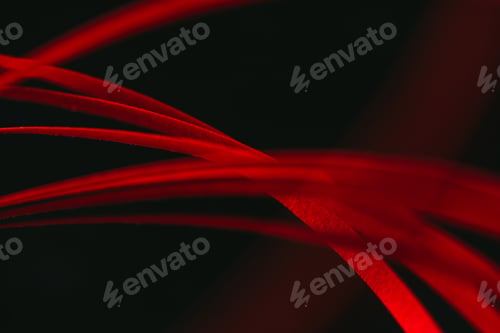 Preview: close up view of red quilling striped paper on black