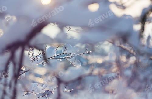 Preview: Frozen tree