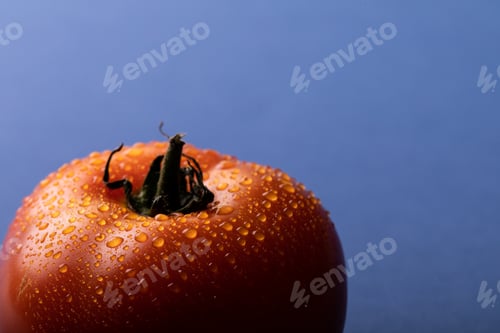 Preview: Close-up of fresh red tomato with water drops over blue background with copy space