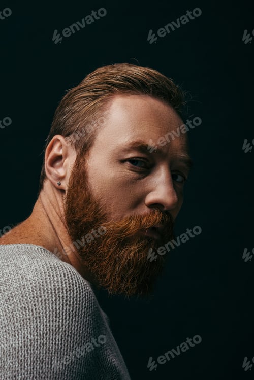 Preview: Portrait of bearded man in grey sweater looking at camera isolated on black