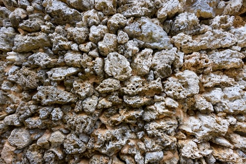 Preview: Exterior building wall made by coral stone