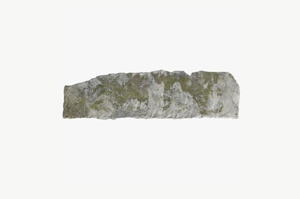 Preview: Rocky Cliffside Scan with Vegetation