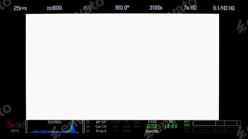 Preview: Recording monitor screen display.