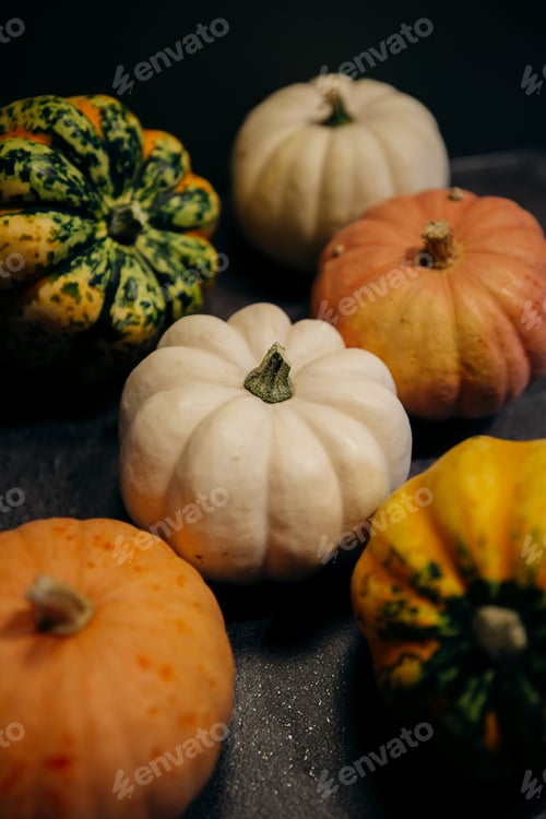 Preview: Small colorful pumpkins on a dark background