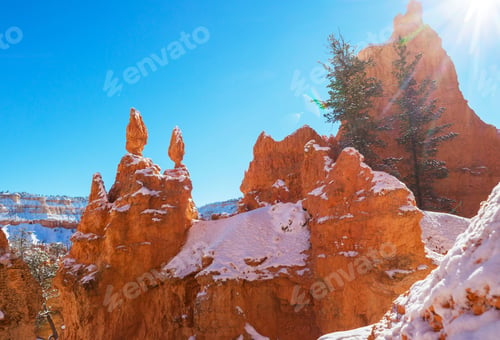 Preview: Winter Bryce