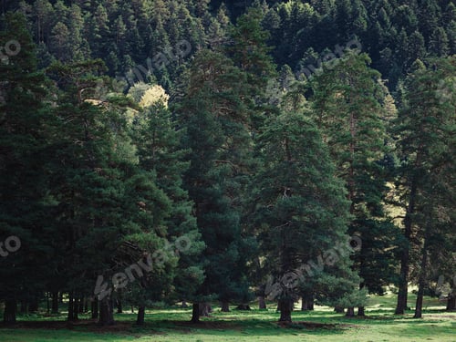 Preview: travel to Caucasus mountains in Karachay-Cherkessia, Arkhyz.