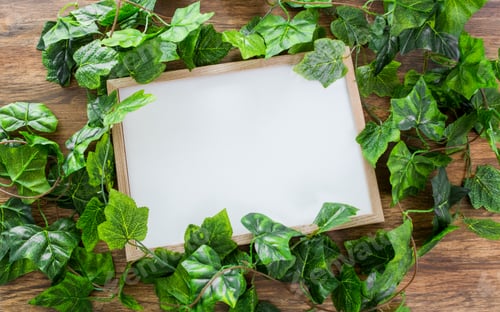 Preview: Empty White Frame Surrounded by Green Vines