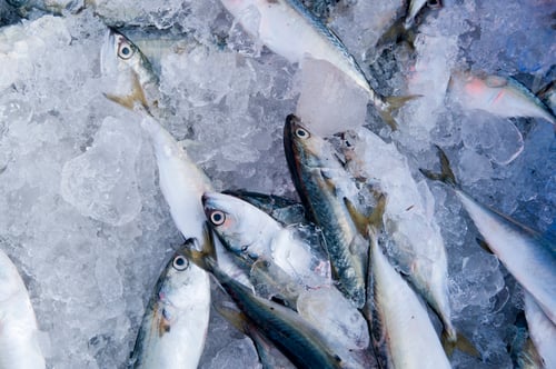Preview: Various fresh fish, Seafood on ice at the fish market