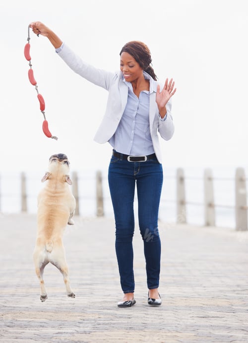 Preview: Jump higher. A beautiful african woman playing with her dog on the promenade.