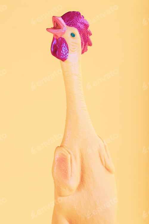 Preview: Portrait of a rubber chicken on a yellow background