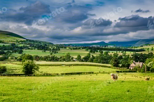 Preview: Sheeps grazing on green pasture in District Lake, England