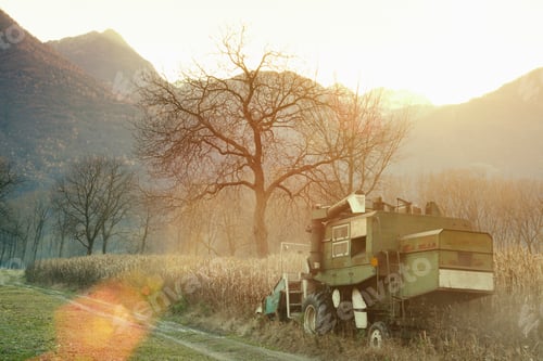 Preview: Golden sunset over a serene farmland with an old combine harvester