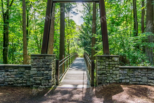 Preview: A View Of A Suspension Walking Bridge In Bellevue, Washington.