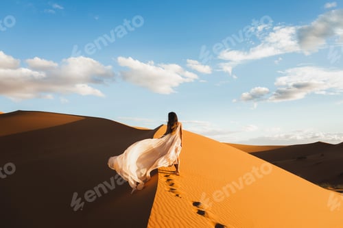 Preview: Woman in amazing silk wedding dress with fantastic view of Sahara desert sand dunes in sunset light