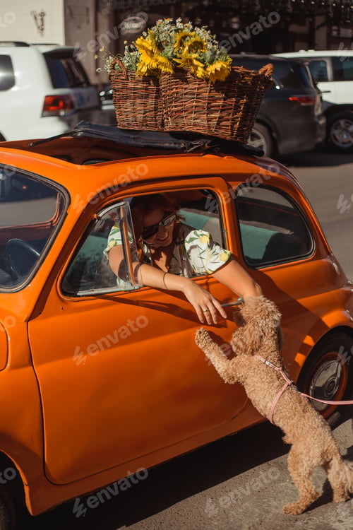 Preview: A young woman in a silk headscarf sits in a small orange retro car and plays with a small dog