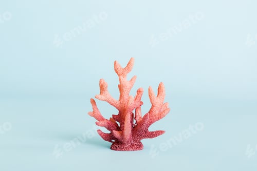 Preview: Summer time concept with sea shells or starfish on a table background with copy space for text