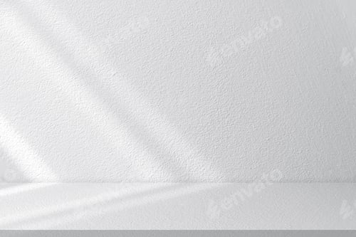 Preview: Background White Wall Studio with Light,Shadow Window on overlay on floor.Grey Studio background