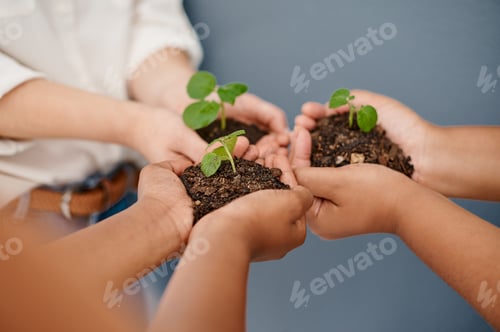 Preview: Nurture your business and watch it grow