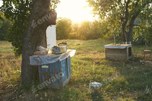 Preview: old tools on a wooden table bucket trees summer green grass renovation