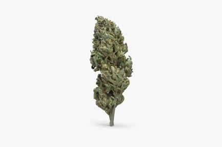 Preview: Sour Diesel Nug: Premium Cannabis Flower