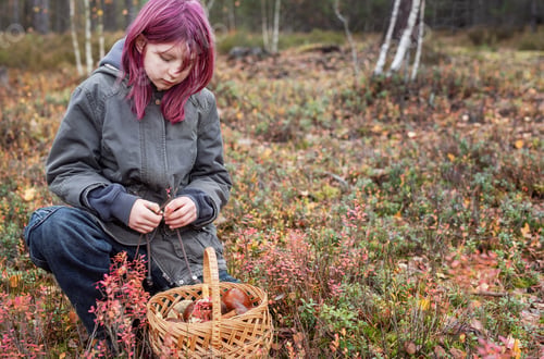 Preview: Girl foraging wild mushrooms in autumn forest