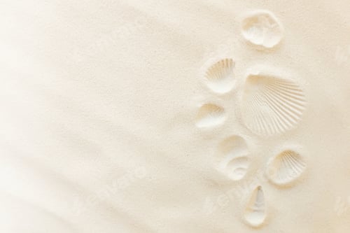 Preview: Travel, vacation concept. Sea shells print on sand. Travelling to warm countries