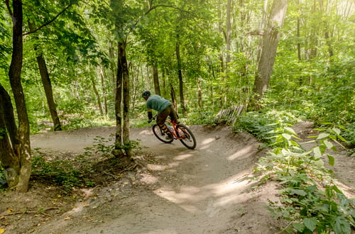 Preview: Cyclist riding bike along forest road
