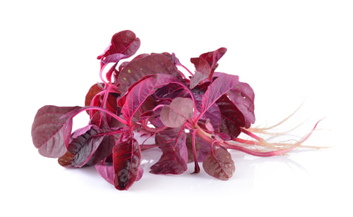 Preview: red spinach on a white background