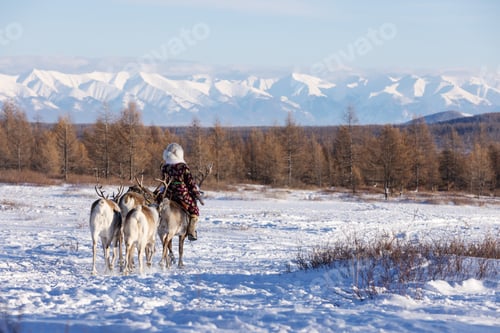 Preview: A nomadic herder rides a reindeer across a vast snowy plain
