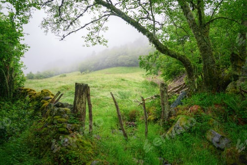 Preview: Decrepit fence of wire and stone wall in a mountain pasture meadow