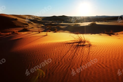 Preview: Sahara desert