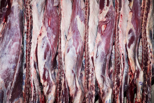 Preview: Slaughter house
