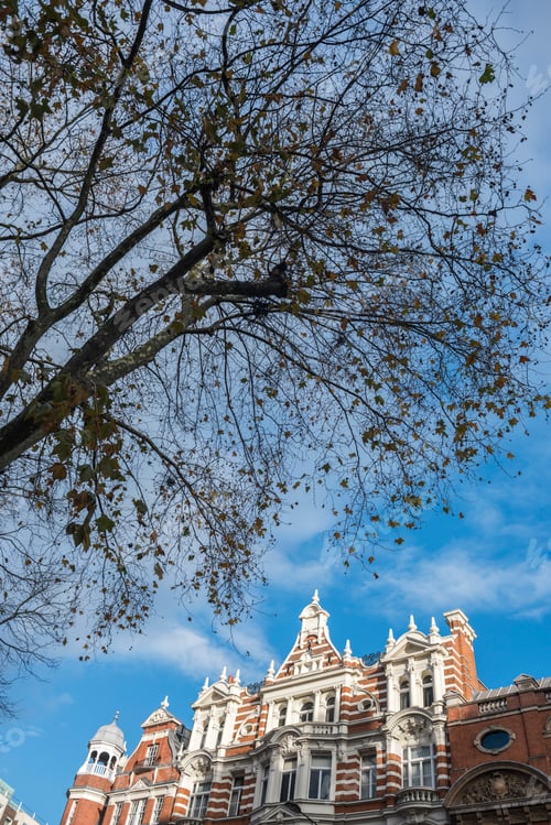 Preview: Victorian Architecture in Sloane Square, London, England