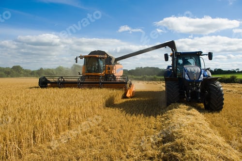 Preview: Combine harvester and tractor, harvesting wheat