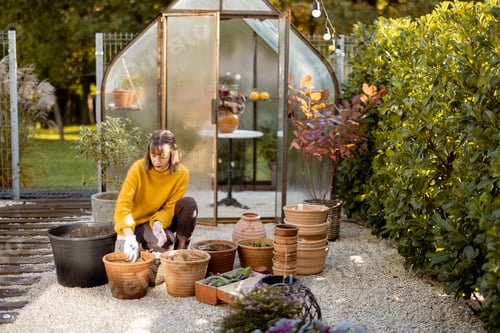 Preview: Woman planting flowers in jugs at garden