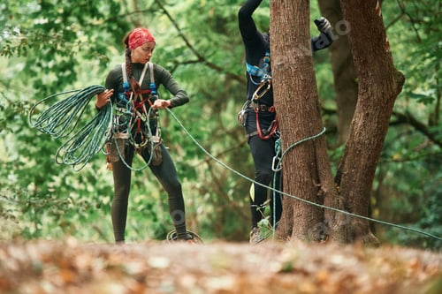 Preview: Standing, preparing the ropes. Man and woman doing climbing in forest with use of safety equipment