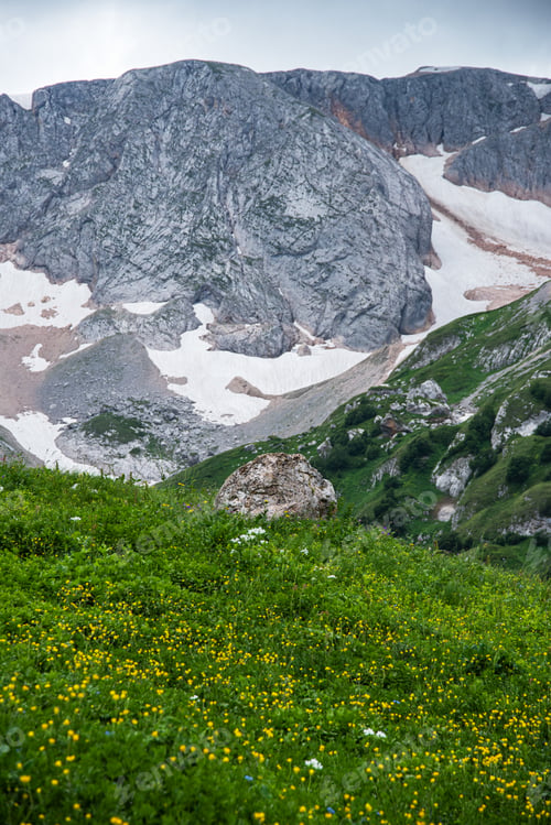 Preview: summer landscape on a cloudy day in the mountains with flowers and snow. Russia, Adygea