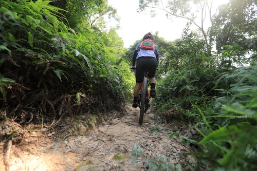 Preview: Cross country biking in summer rainforest