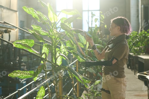 Preview: Female Scientist Taking Care Of Plants