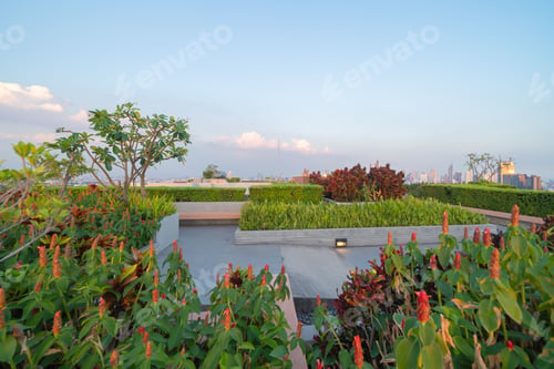 Preview: Sky garden on private rooftop of condominium or hotel, high rise architecture building, grass field