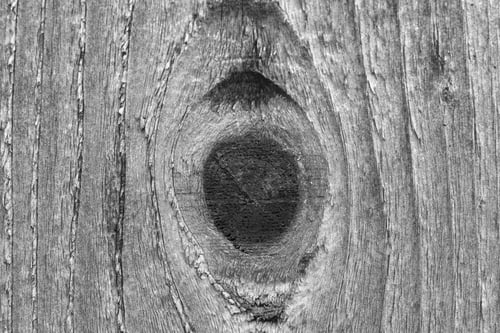 Preview: Rough Wood Plank Background In Black And White - Black And White Macro Photograph Of A Rough Wooden