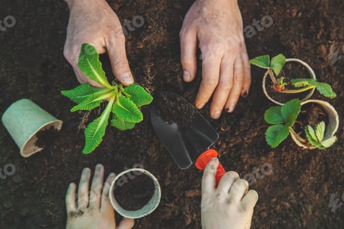 Preview: nature