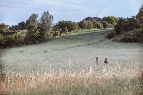Preview: Little happy kids playing in a tall grass in the countryside