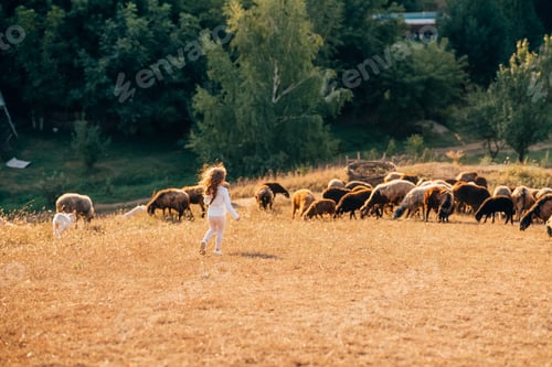 Preview: Beautiful meadow with a little girl and animals sheep
