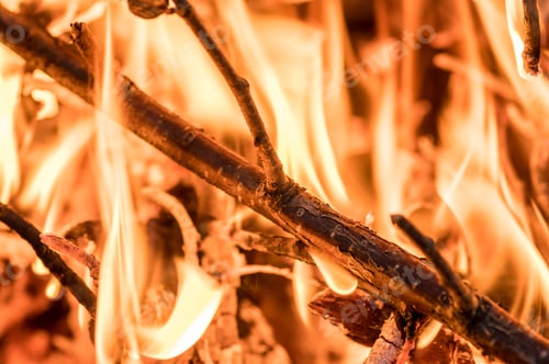 Preview: Closeup of burning branches and twigs