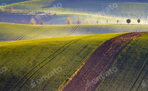 Preview: Gorgeous rural landscape with green sunny spring hills. South Moravia region, Czech Republic