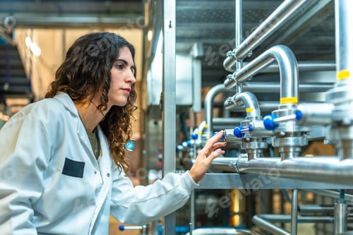 Preview: Woman engineer checking machinery in food processing factory