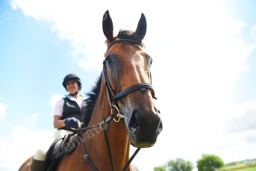 Preview: Low angle view of mature woman on horseback looking at camera