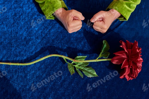 Preview: top view of senior man with wrinkled hands and clenched fists near fresh peony flower with red